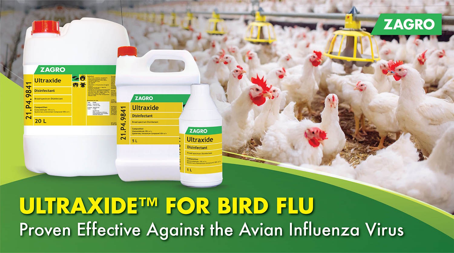 Ultraxide™ Disinfectant Against Bird Flu (Avian Influenza) Zagro